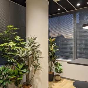 PXL_20210120_081642822 (1)